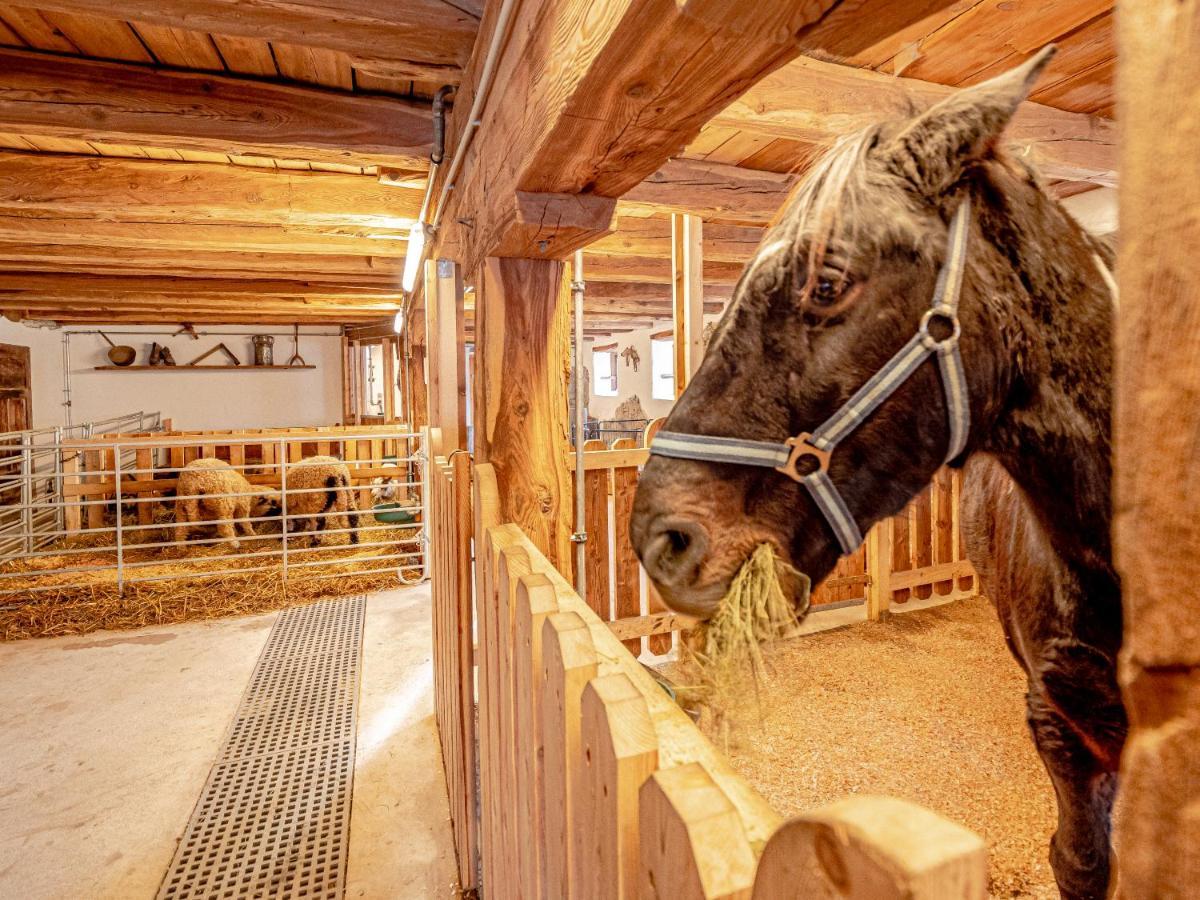 Zeiserhof Ramsau am Dachstein Ngoại thất bức ảnh