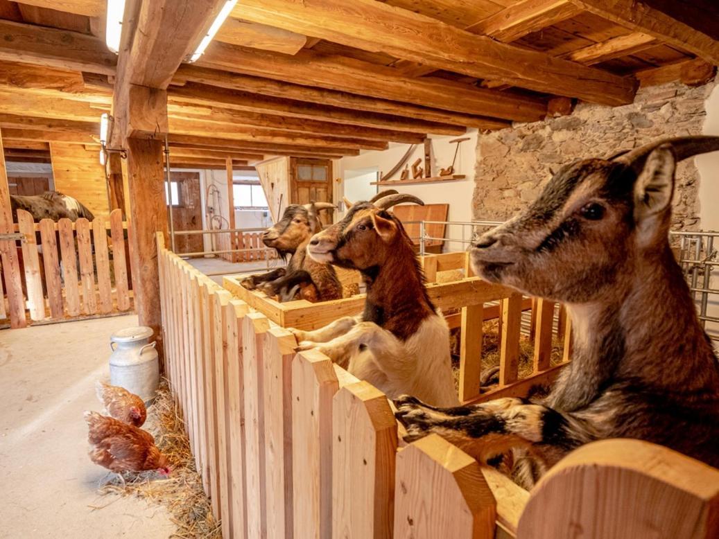 Zeiserhof Ramsau am Dachstein Ngoại thất bức ảnh