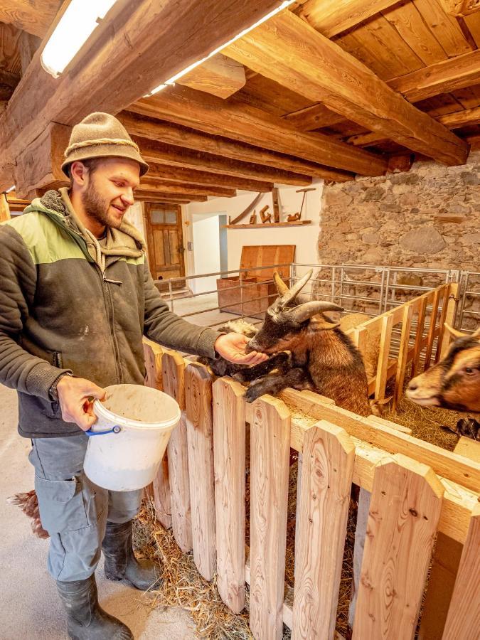 Zeiserhof Ramsau am Dachstein Ngoại thất bức ảnh
